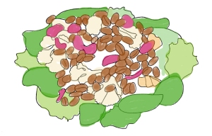 Wintery Wheat Berry Salad | OhMyPotluck.com